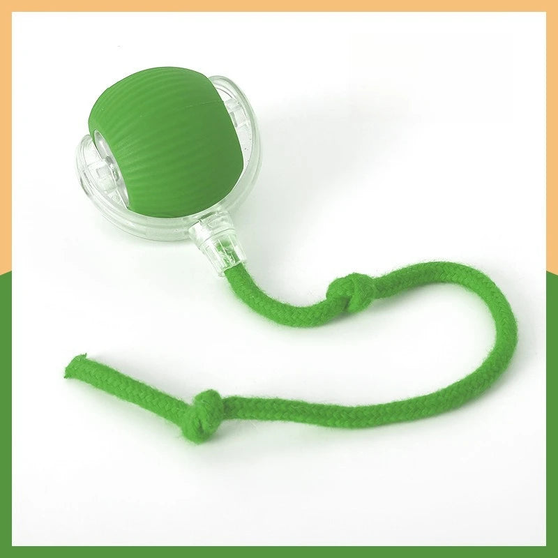 Pawzio™ ChaseTail Smart Rolling Ball